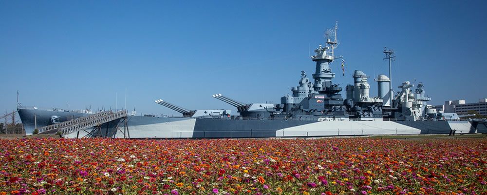 BattleshipNC flowers BattleshipNC flowers